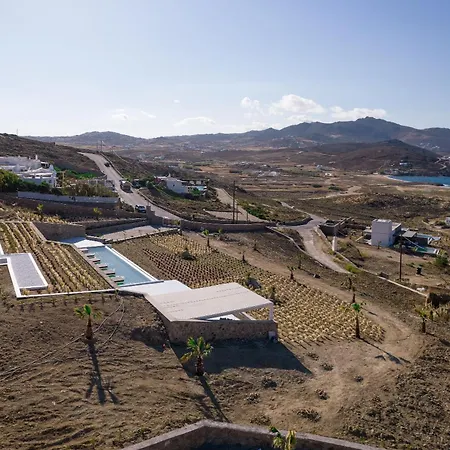 Ftelia Project * Panormos (Mykonos)